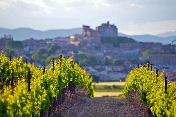 Weine-aus-dem-Languedoc-Roussillion