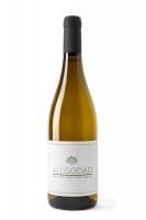 CM Wines - Allgodao Branco DOC CM Wines - Allgodao Branco DOC